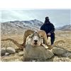 Image 1 : 10-Day Tajikistan Silver-medal Marco Polo Sheep Hunt for One Hunter