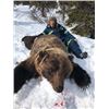 Image 2 : 10-day Alaska Grizzly Bear hunt for One Hunter