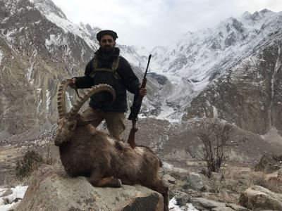 Pakistan Hunter 10-day Pakistan Himalayan Ibex (Best Available) Hunt for One hunter