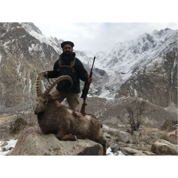 10-day Pakistan Himalayan Ibex (Best Available) Hunt for One hunter