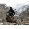 Image 1 : 10-day Pakistan Himalayan Ibex (Best Available) Hunt for One hunter