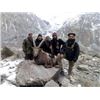 Image 2 : 10-day Pakistan Himalayan Ibex (Best Available) Hunt for One hunter