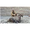 Image 5 : 10-day Pakistan Himalayan Ibex (Best Available) Hunt for One hunter