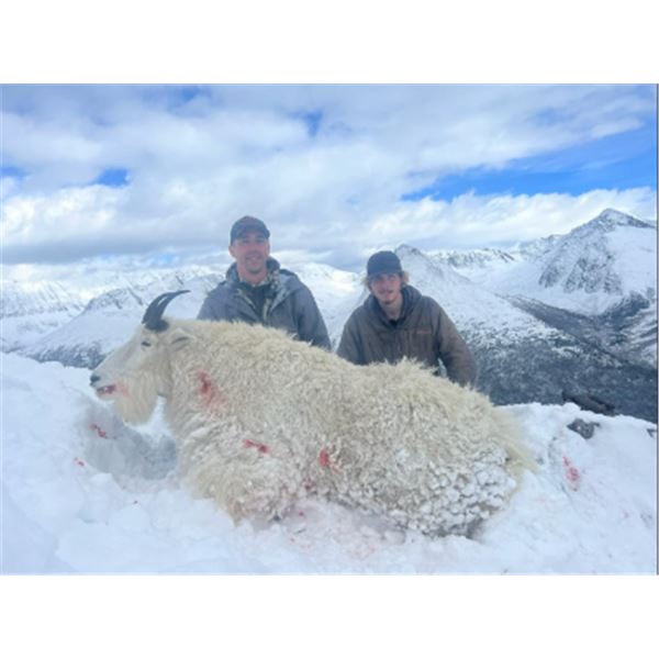 9-day British Columbia Mountain Goat, Black Bear and Wolf Hunt for One Hunter