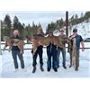 Image 5 : 8-day British Columbia Cougar, Lynx, Bobcat and Wolf Combo Hunt for One Hunter