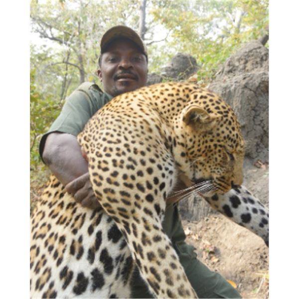 14-day Tanzania Leopard and Plains Game Hunt for One hunter and One Observer