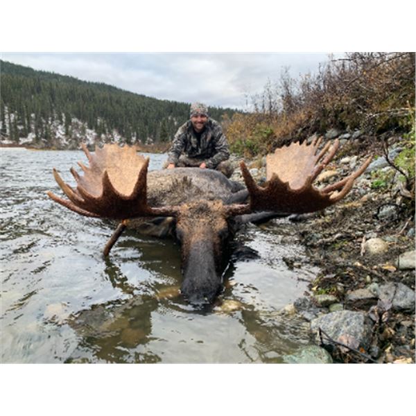 10-day British Columbia Moose Hunt for One Hunter