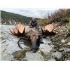Image 1 : 10-day British Columbia Moose Hunt for One Hunter