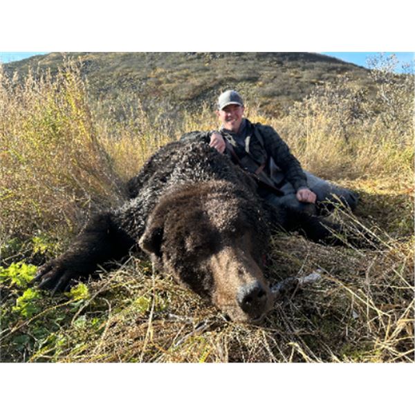10-day Alaska Peninsula Brown Bear Hunt for One Hunter