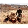 Image 2 : 10-day Alaska Peninsula Brown Bear Hunt for One Hunter