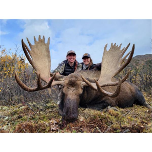 10-day British Columbia Moose and Wolf Hunt for One Hunter