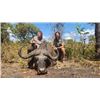Image 2 : 8-day Tanzania Cape Buffalo Hunt for One Hunter and One Non-Hunter