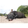 Image 3 : 8-day Tanzania Cape Buffalo Hunt for One Hunter and One Non-Hunter