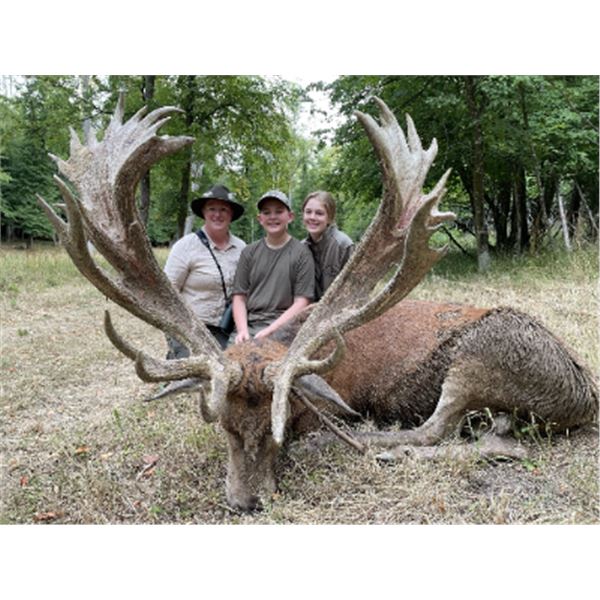 5-day France Red Deer, Mouflon, Wild Boar and Fallow Deer Hunt for Two Hunters and Two Non-Hunters