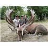 Image 1 : 5-day France Red Deer, Mouflon, Wild Boar and Fallow Deer Hunt for Two Hunters and Two Non-Hunters