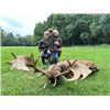 Image 2 : 5-day France Red Deer, Mouflon, Wild Boar and Fallow Deer Hunt for Two Hunters and Two Non-Hunters
