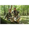 Image 3 : 5-day France Red Deer, Mouflon, Wild Boar and Fallow Deer Hunt for Two Hunters and Two Non-Hunters