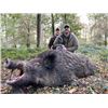 Image 4 : 5-day France Red Deer, Mouflon, Wild Boar and Fallow Deer Hunt for Two Hunters and Two Non-Hunters