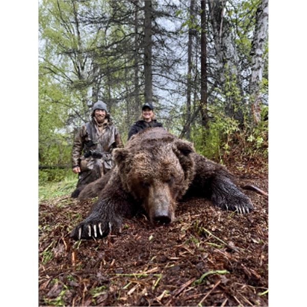 7-day Alaska Brown Bear and Black Bear Hunt for One Hunter