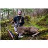 Image 1 : 7-day (5-day hunt) Alaska Sitka Black-tailed Deer Hunt for Four Hunters