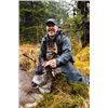 Image 2 : 7-day (5-day hunt) Alaska Sitka Black-tailed Deer Hunt for Four Hunters