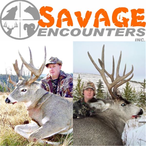 6-day Alberta Northwestern White-tailed Deer, Rocky Mountain Mule Deer and Wolf Hunt for One Hunter
