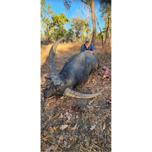 7-day (5-day hunt) Australia Trophy Water Buffalo for One Hunter and One Non-Hunter