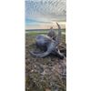 Image 4 : 7-day (5-day hunt) Australia Trophy Water Buffalo for One Hunter and One Non-Hunter