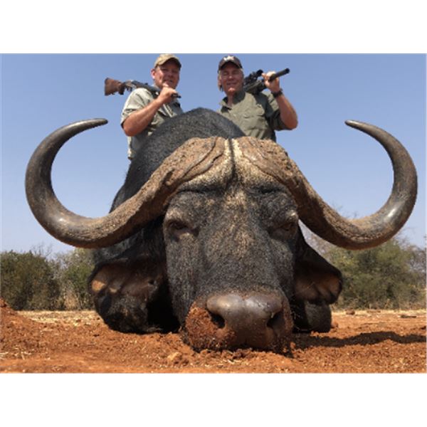 10-day South Africa Cape Buffalo and Crocodile Hunt for Two Hunters and Two Non-hunters