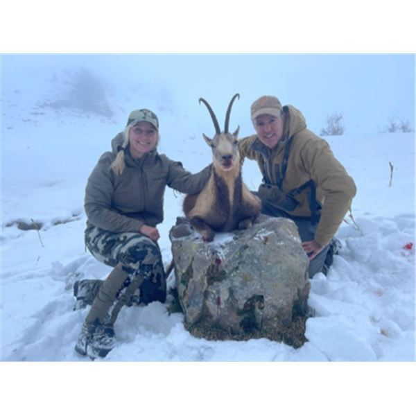 5-day Spain Best Available Pyrenean Chamois & Mouflon Sheep Hunt for Two Hunters and Two Non-hunters