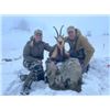 Image 1 : 5-day Spain Best Available Pyrenean Chamois & Mouflon Sheep Hunt for Two Hunters and Two Non-hunters