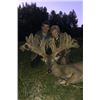 Image 2 : 3-day Michigan Northeastern Whitetail Deer (up to 250") hunt for One hunter and One Non-Hunter