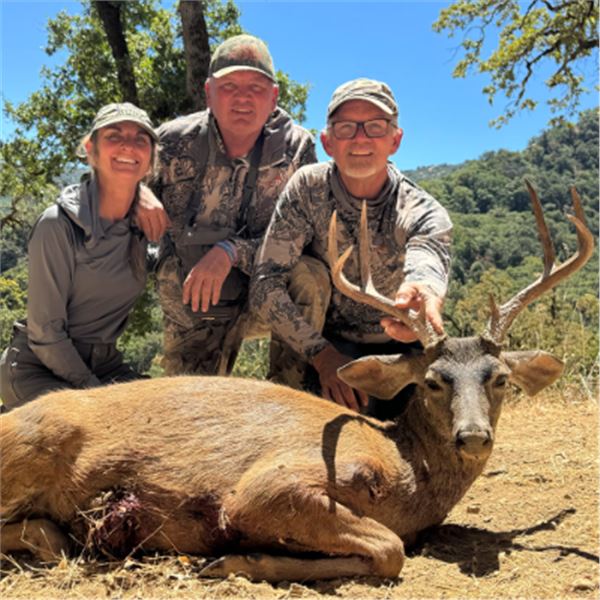 5-day California Blacktail Deer, Black Bear, Wild Boar hunt for One Hunter
