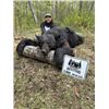 Image 3 : 5-day Saskatchewan Black Bear Hunt for Two Hunters