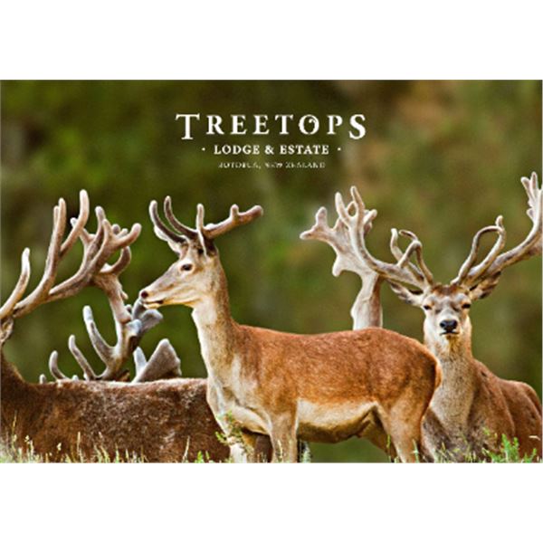 6-day/5-night New Zealand Gold Medal Red Stag hunt for One Hunter and One Non-hunter