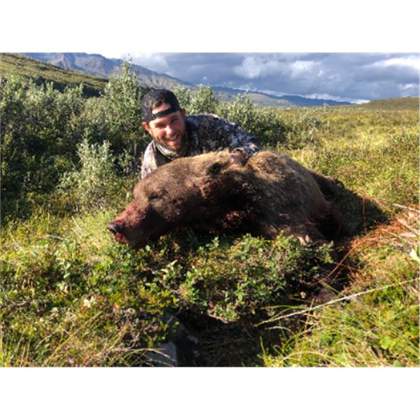 10-day Alaska Grizzly Bear Hunt for One Hunter