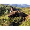 Image 1 : 10-day Alaska Grizzly Bear Hunt for One Hunter