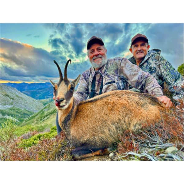 9-day Spain  Cantabrian Chamois (Gold Medal) and Iberian Mouflo Hunt for Two Hunters