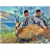 Image 1 : 9-day Spain Cantabrian Chamois (Gold Medal) and Iberian Mouflo Hunt for Two Hunters