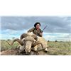 Image 4 : 5-day Argentina Wild Boar, Patagonia Ram, and Black Buck (shared by each hunter) Hunt for Four Hunte