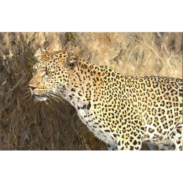 Original Oil Painting Titled "Light and Shadow" by Linda Besse