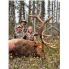 Image 1 : 10-day Alberta Canadian Elk Hunt for One Hunter