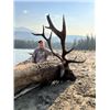Image 2 : 10-day Alberta Canadian Elk Hunt for One Hunter