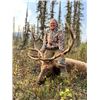 Image 3 : 10-day Alberta Canadian Elk Hunt for One Hunter