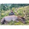 Image 1 : 5-day Mongolia Maral Elk Hunt for One Hunter