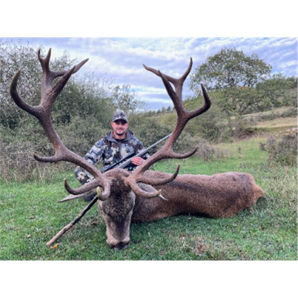5-day Spain Iberian Red Deer Hunt (up to 230 SCI Gold Medal) for Two Hunters