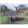 Image 1 : 5-day Spain Free-range Iberian Red Deer Hunt up to 230 SCI for One Hunter and One Observer