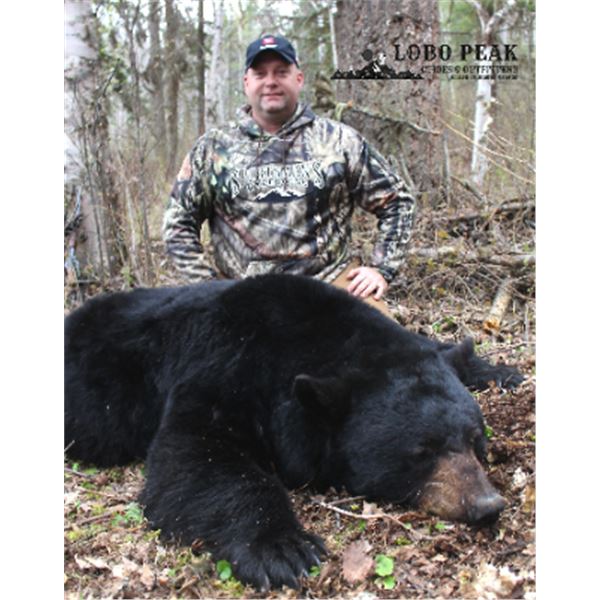 5-day British Columbia Black Bear Hunt for Two Hunters
