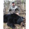 Image 1 : 5-day British Columbia Black Bear Hunt for Two Hunters