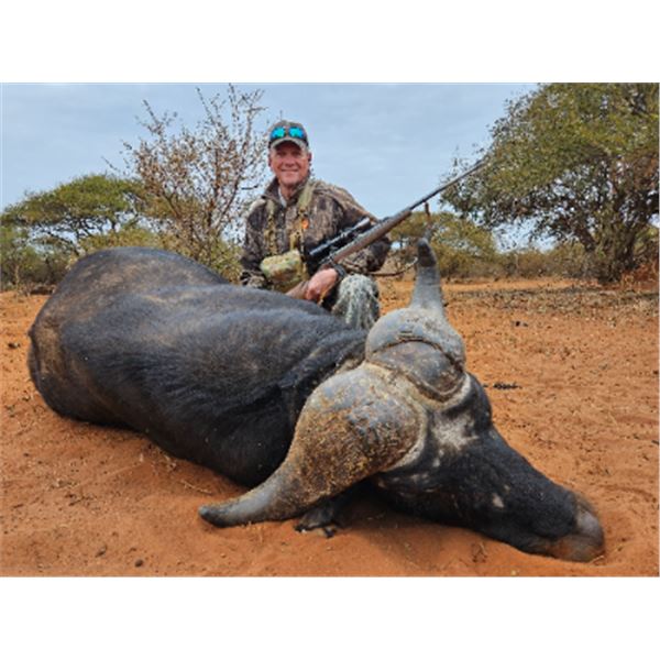 10-day South Africa Cape Buffalo Hunt for Two Hunters and Two Non-hunters